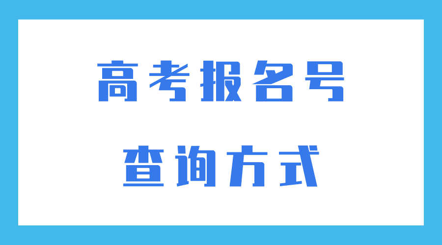 2024高考报名号忘记了怎么办，有哪些查询方式