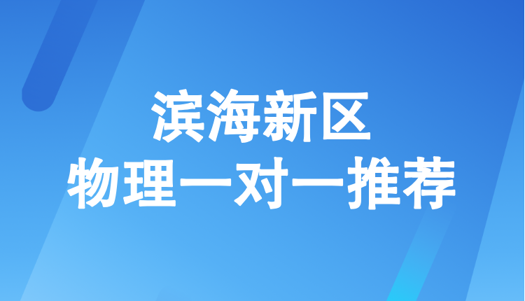 2025天津滨海新区物理一对一辅导哪家好？锐满分教育物理老师推荐