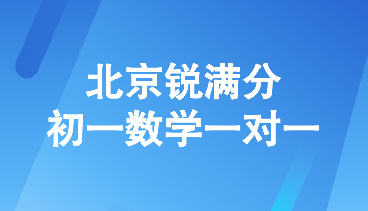 2025北京海淀区初一数学一对一辅导推荐哪家？