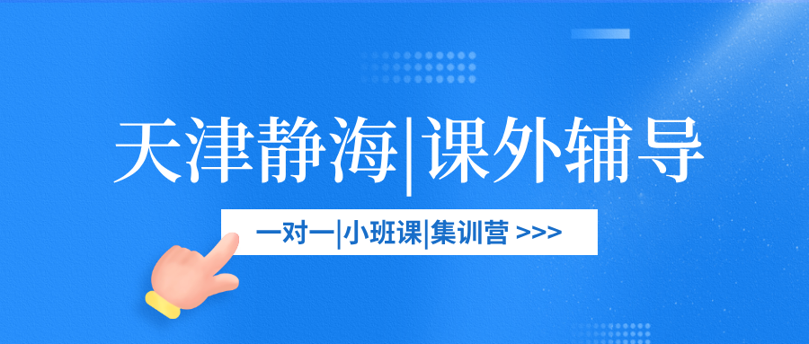 [测评]-天津静海区高中课外一对一辅导机构综合测评报告（2026年版）
