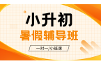 2026青岛黄岛小升初/新初一/六升七暑