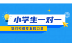 天津市六区小学生一对一辅导推荐，就选锐满
