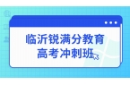 2026年山东临沂河东区高三全科辅导冲刺